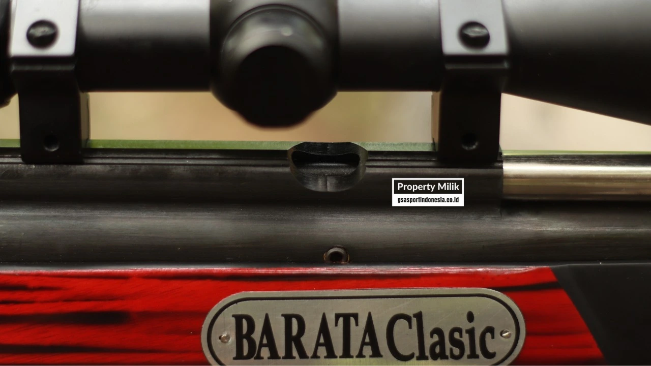PCP Barata Od 25 Laras 60cm Single Shoot - Image 4