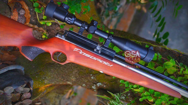 PCP Pasopati Stainless Magazine Marauder